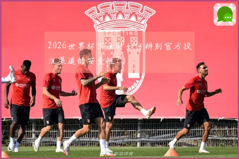 2026世界杯下注时如何辨别官方投注渠道的安全性？