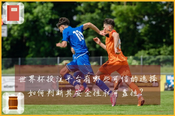 世界杯投注平台有哪些可信的选择，如何判断其安全性和可靠性？