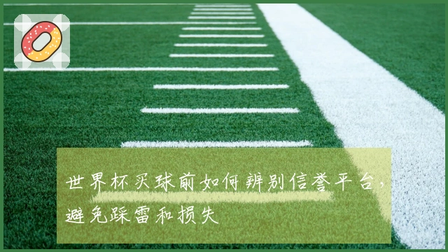 世界杯买球前如何辨别信誉平台，避免踩雷和损失