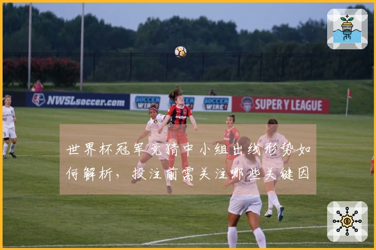 世界杯冠军竞猜中小组出线形势如何解析，投注前需关注哪些关键因素