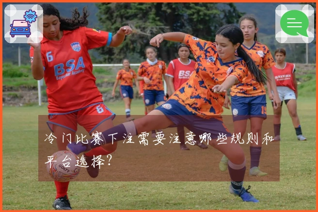 冷门比赛下注需要注意哪些规则和平台选择?