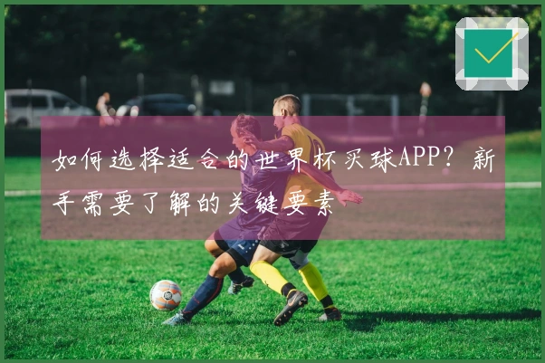 如何选择适合的世界杯买球APP？新手需要了解的关键要素