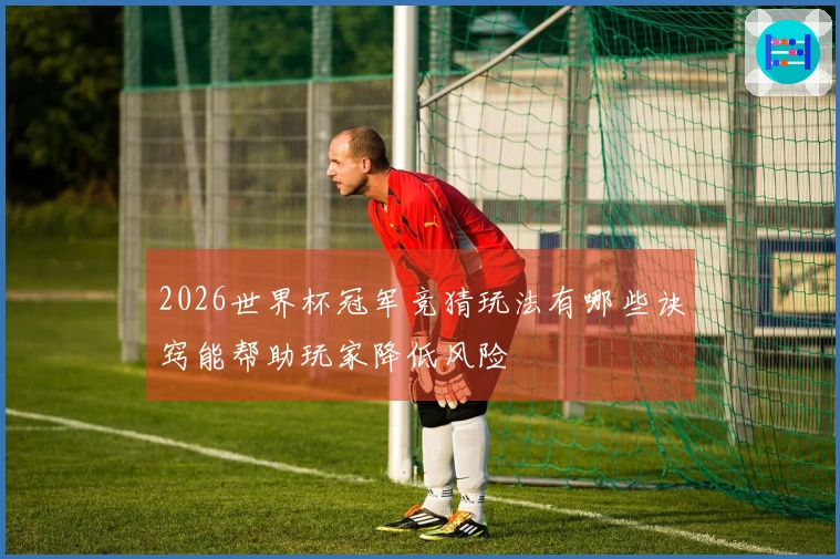 2026世界杯冠军竞猜玩法有哪些诀窍能帮助玩家降低风险