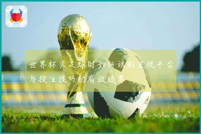 世界杯买足球时如何识别正规平台与投注技巧的有效边界