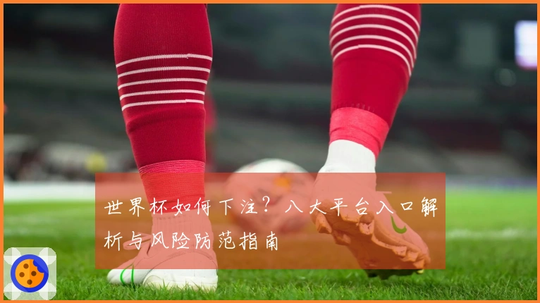 世界杯如何下注？八大平台入口解析与风险防范指南