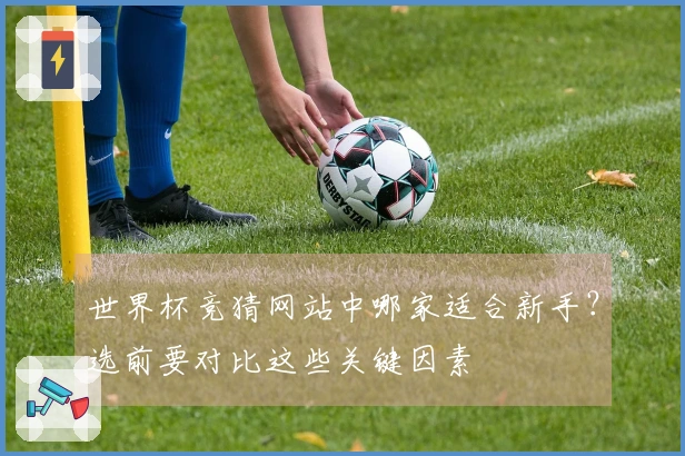 世界杯竞猜网站中哪家适合新手？选前要对比这些关键因素