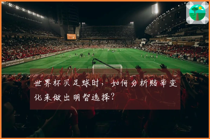世界杯买足球时，如何分析赔率变化来做出明智选择？